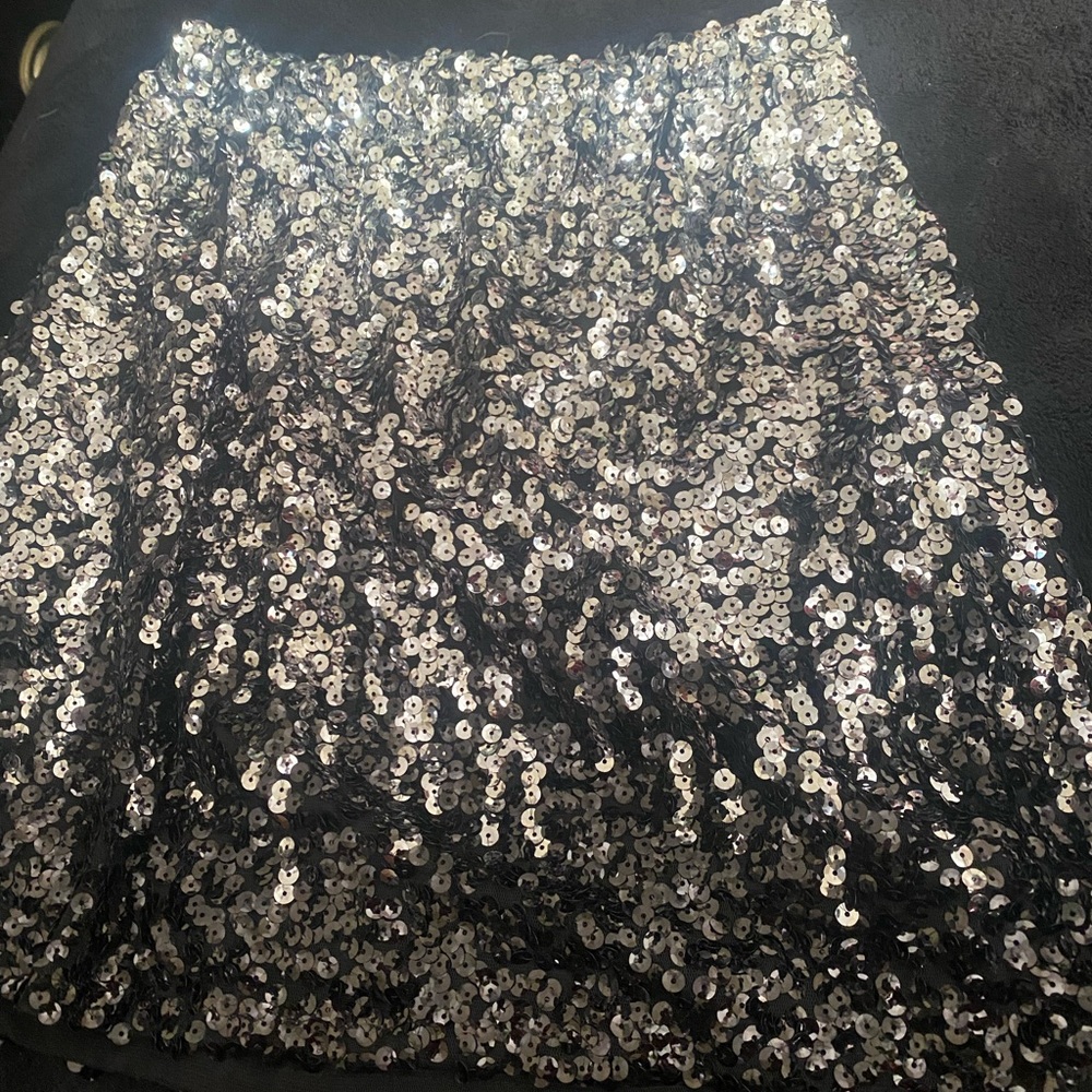Sequin Skirt